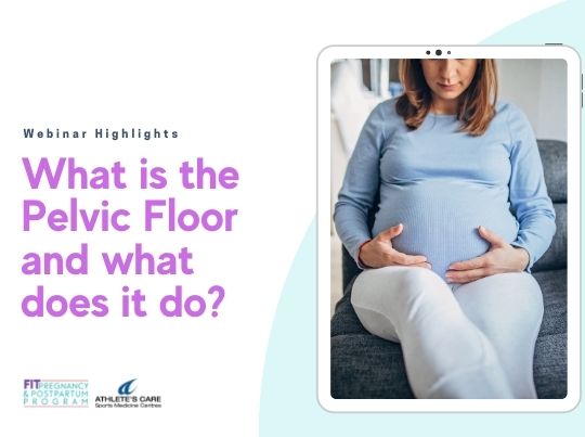 Webinar Highlights: What is the Pelvic Floor and what does it do?